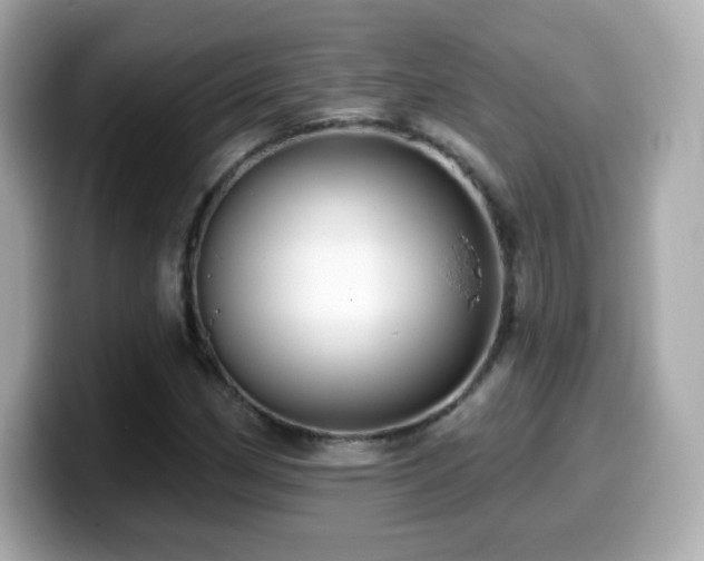X0000099971162200805231359