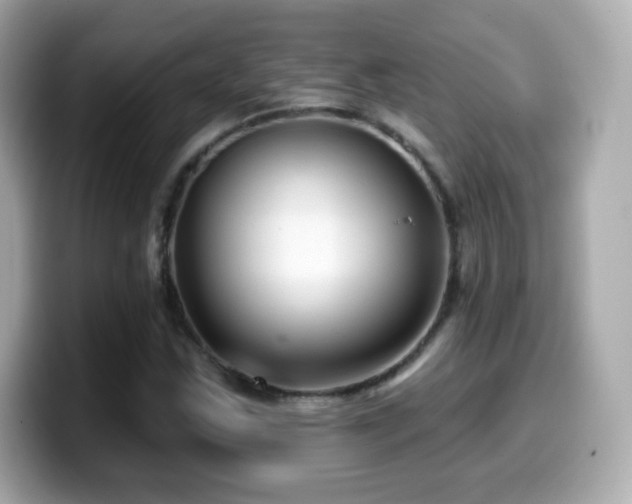 X0000099971163200805231359