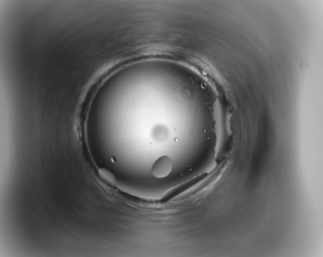 X0000099971164200805231359