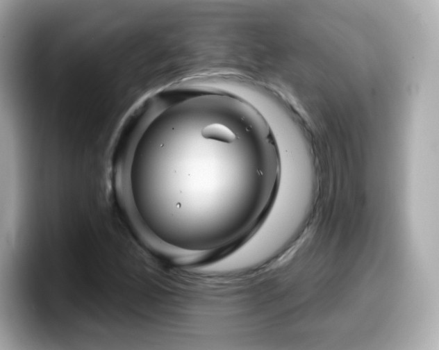 X0000099971165200805231359