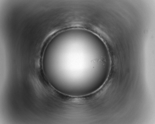 X0000099971166200805231359