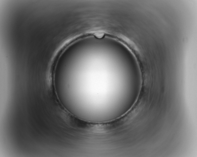 X0000099971167200805231359
