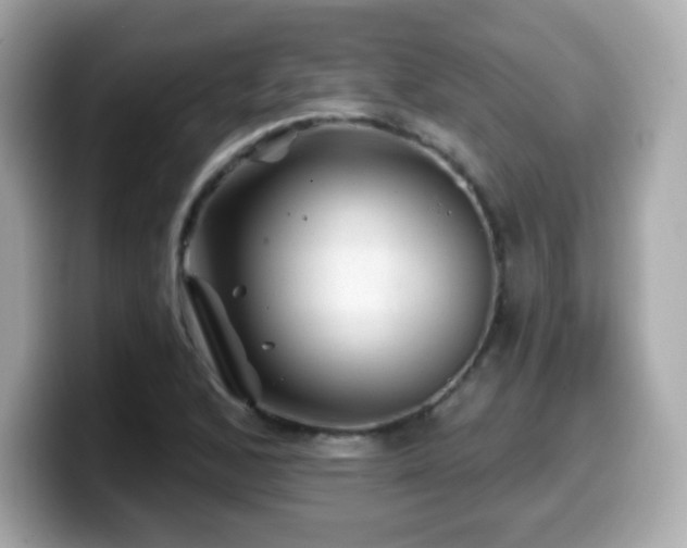 X0000099971168200805231359