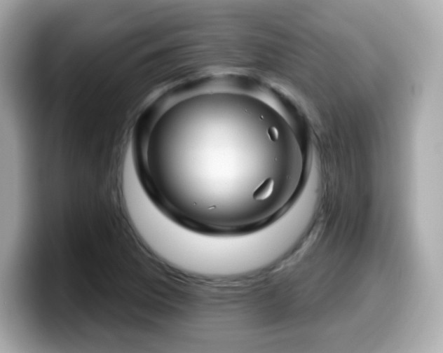 X0000099971169200805231359