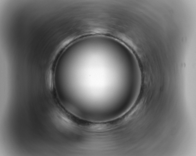 X0000099971171200805231359