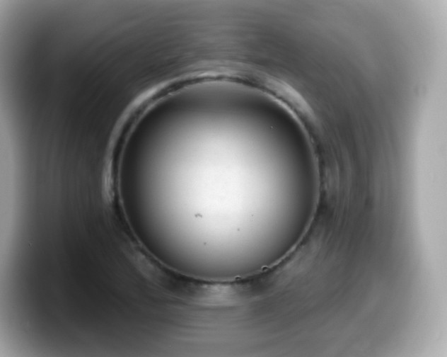 X0000099971172200805231359