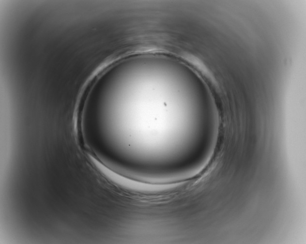 X0000099971173200805231359