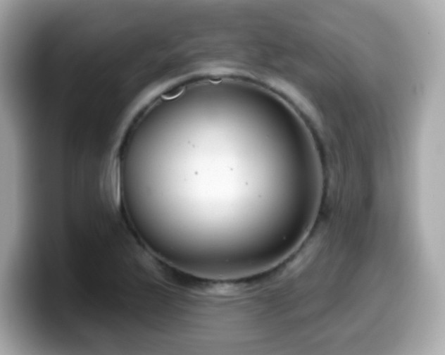 X0000099971175200805231359