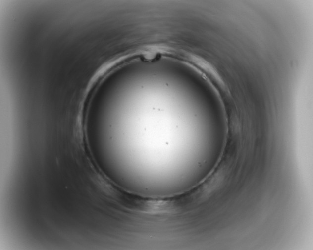 X0000099971176200805231359