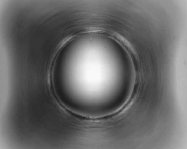 X0000099971177200805231359
