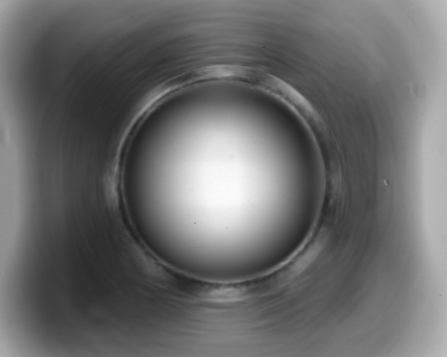 X0000099971178200805231359