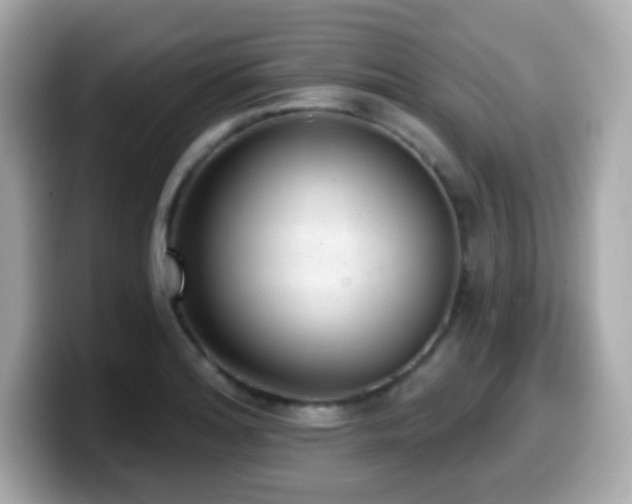 X0000099971180200805231359