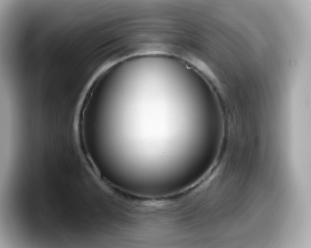 X0000099971181200805231359