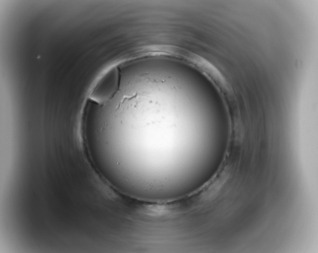 X0000099971182200805231359