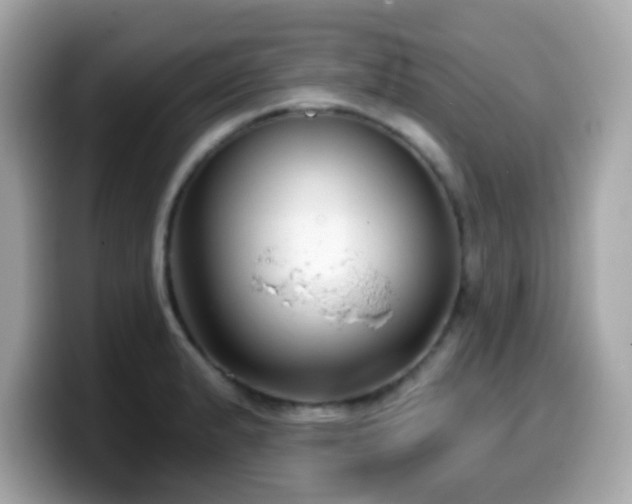 X0000099971183200805231359