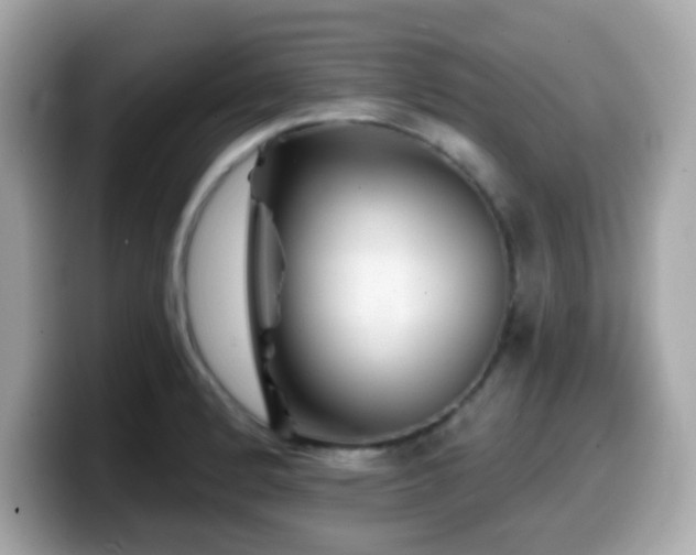 X0000099971184200805231359