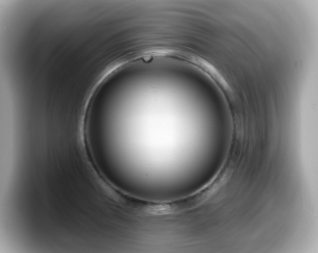 X0000099971186200805231359