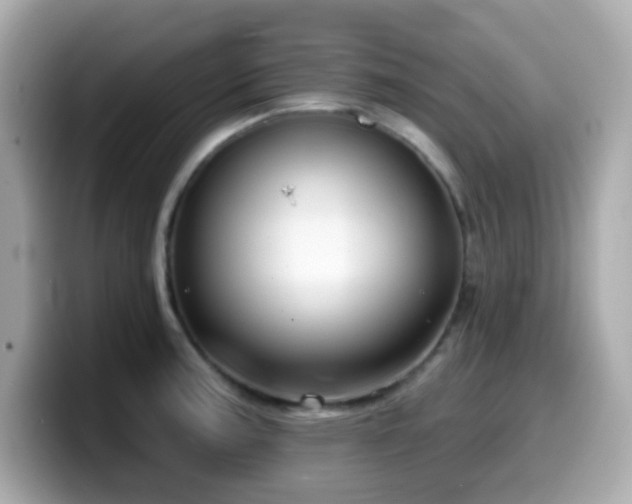 X0000099971187200805231359