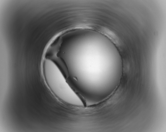 X0000099971188200805231359