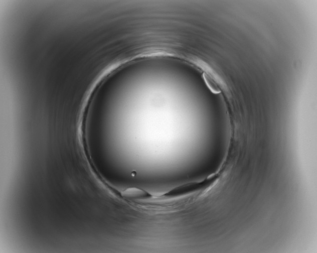 X0000099971189200805231359