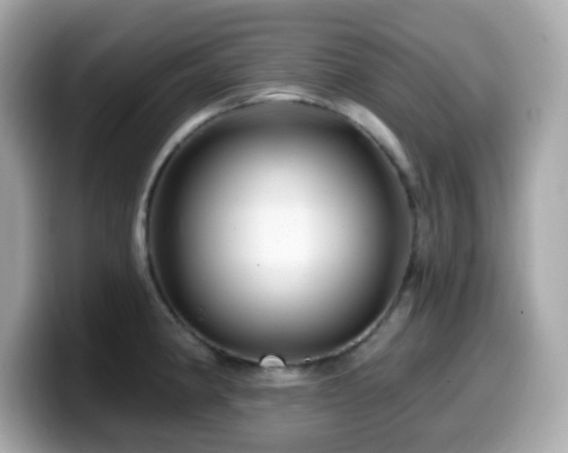 X0000099971190200805231359