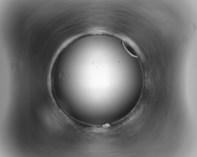 X0000099971191200805231359