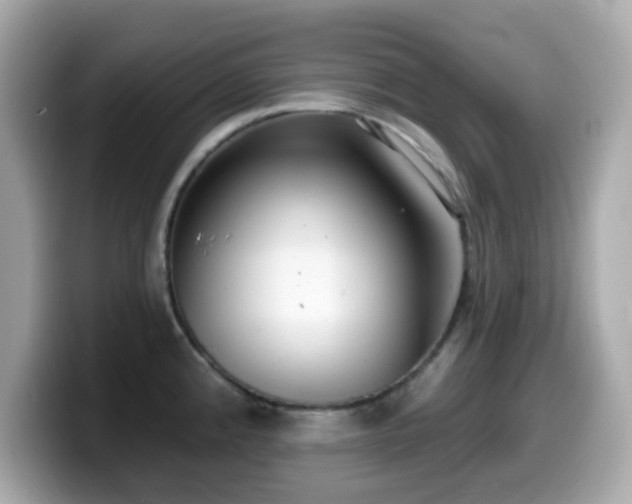 X0000099971192200805231359