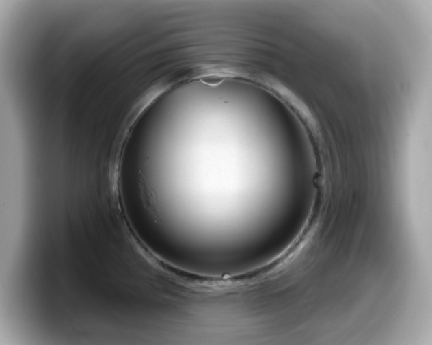 X0000099971193200805231358