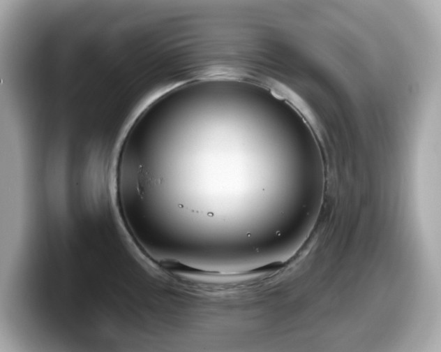 X0000099971195200805231358