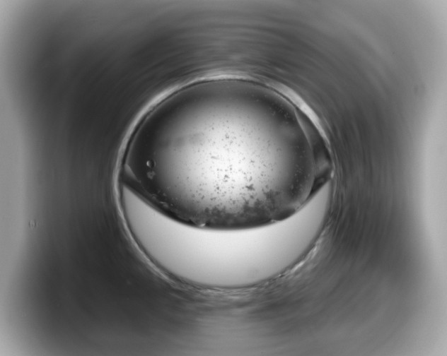 X0000099971197200805231358