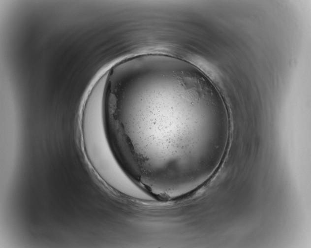 X0000099971200200805231358