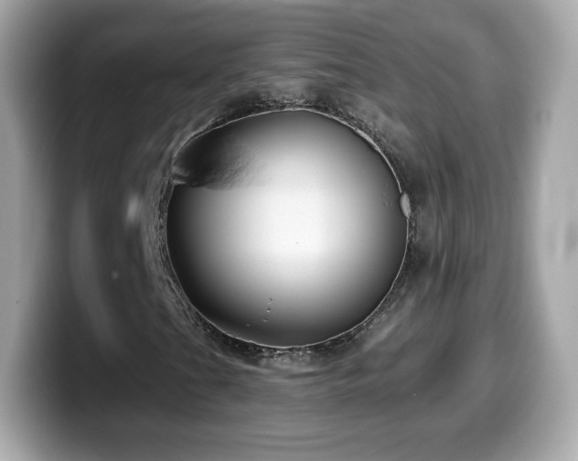 X0000099971201200805231358