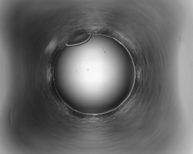 X0000099971204200805231358