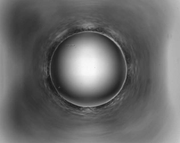 X0000099971205200805231358