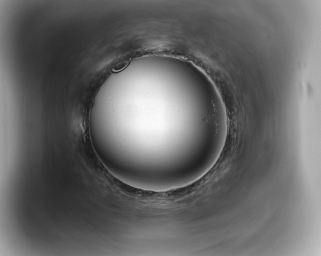 X0000099971206200805231358