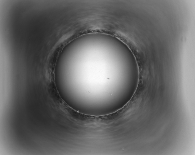 X0000099971207200805231358