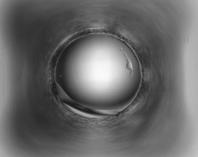 X0000099971208200805231358