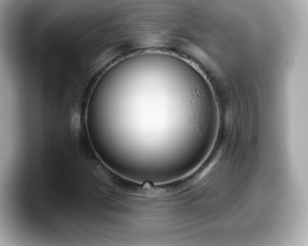 X0000099971209200805231358