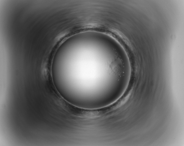 X0000099971210200805231358
