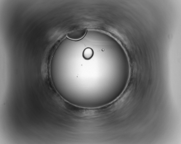 X0000099971211200805231358