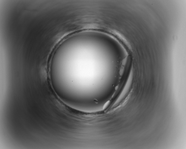 X0000099971212200805231358