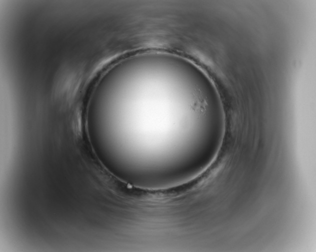 X0000099971214200805231358