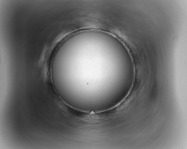 X0000099971215200805231358