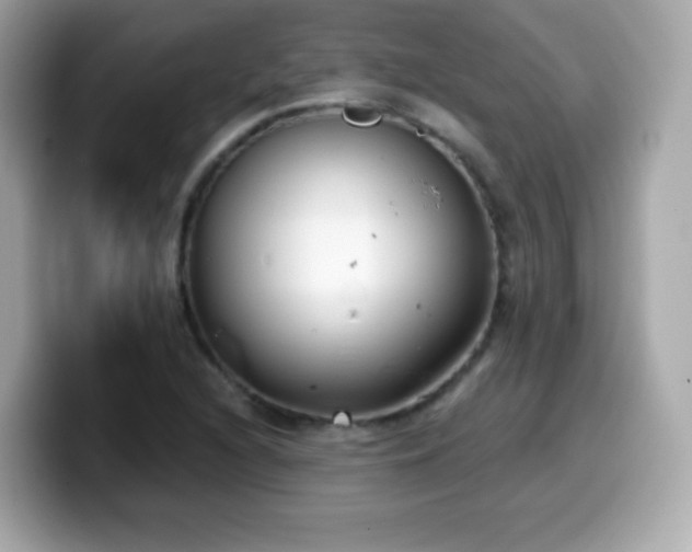 X0000099971216200805231358
