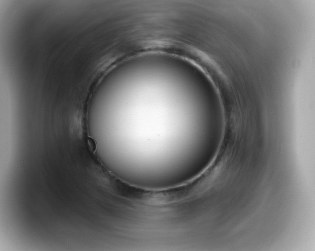 X0000099971217200805231358