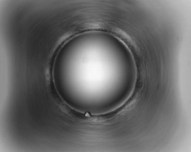X0000099971218200805231358