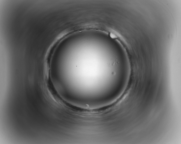 X0000099971219200805231358