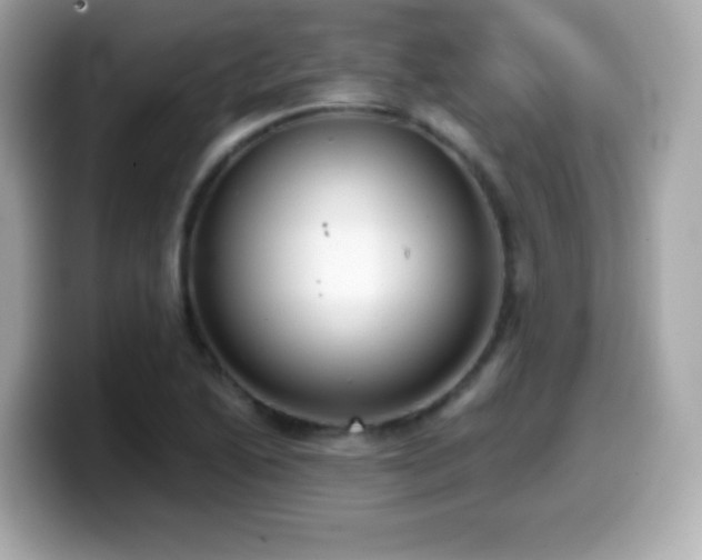 X0000099971222200805231358
