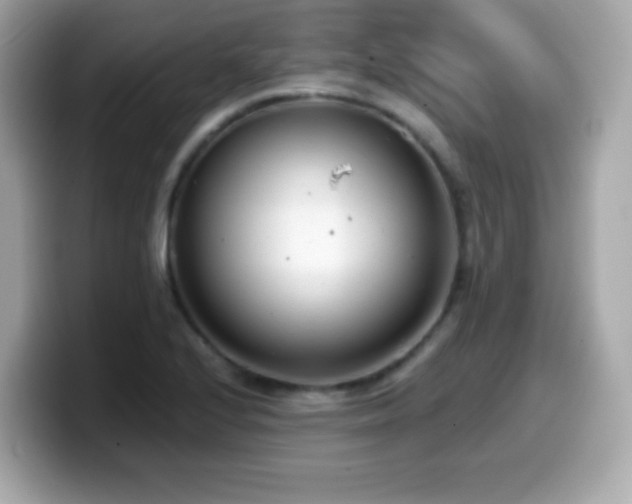 X0000099971224200805231358