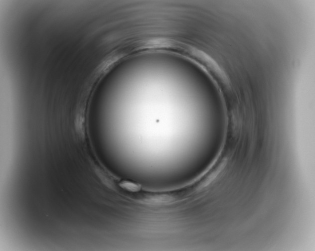 X0000099971225200805231358